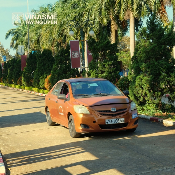 Bằng Lái Hạng B-STĐ