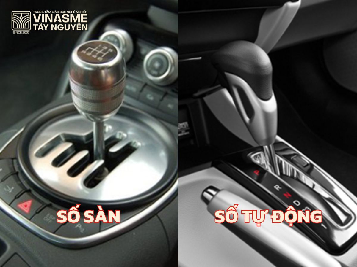 So sánh GPLX hạng B1 và B2 khác nhau chỗ nào, nên thi bằng nào?