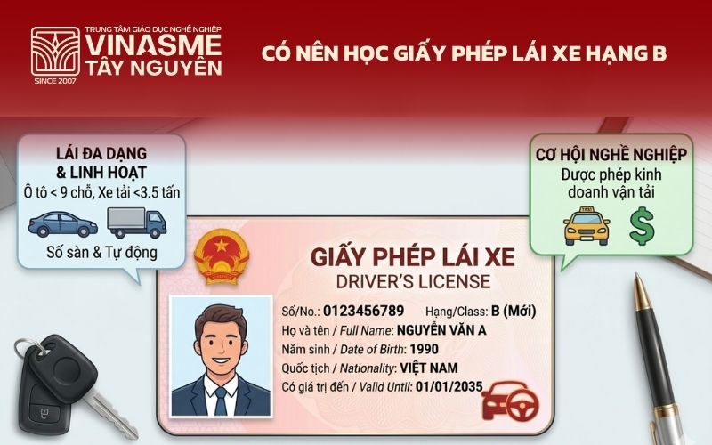 Có nên học Giấy phép lái xe hạng B