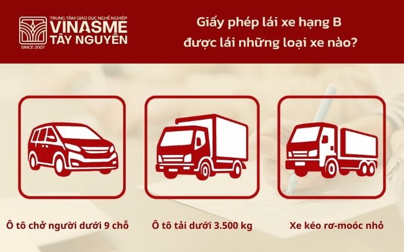 Giấy phép lái xe hạng B được lái những loại xe nào?