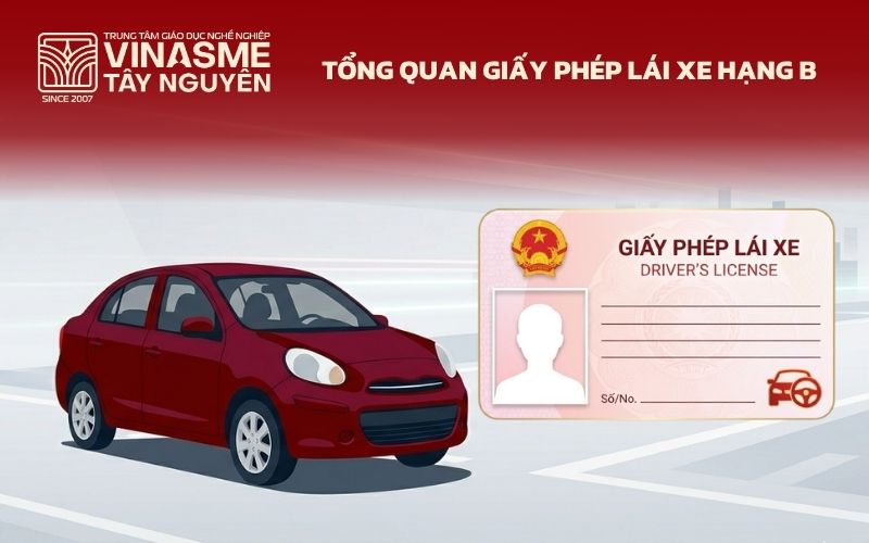 Tổng quan giấy phép lái xe hạng B