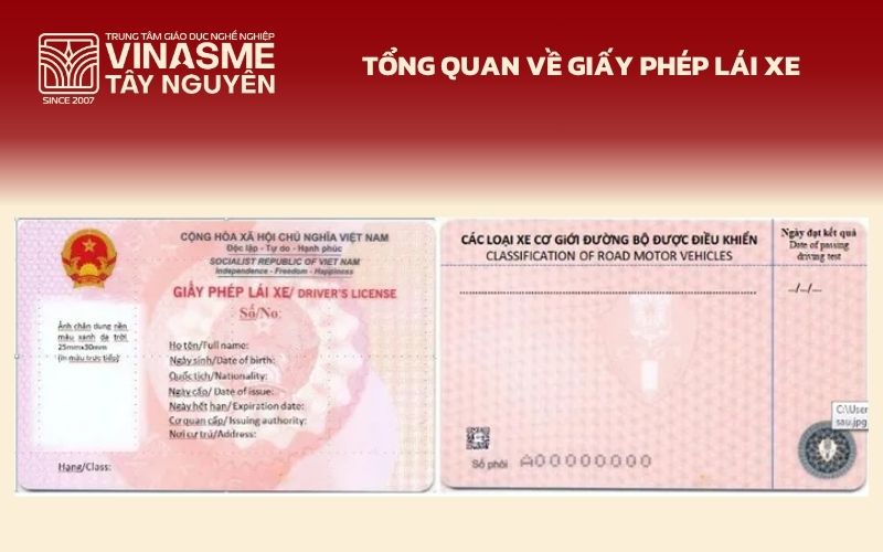 Tổng quan về giấy phép lái xe