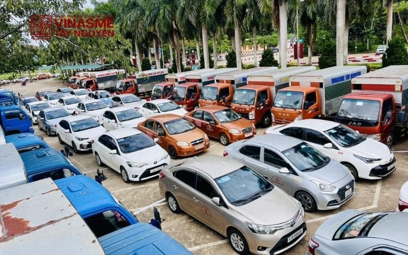 Xe tập đạt chuẩn